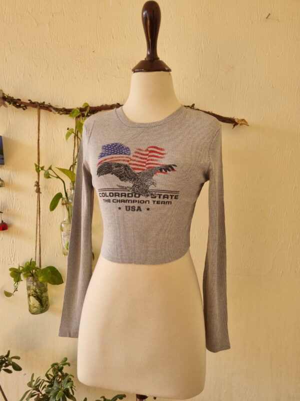 small cropped sweatshirt