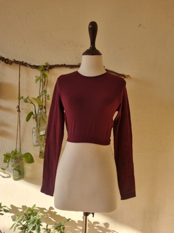 crop top – excellent condition