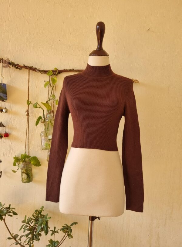 dark brown cropped top